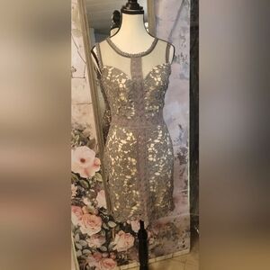 Elegant Gray Lace Dress